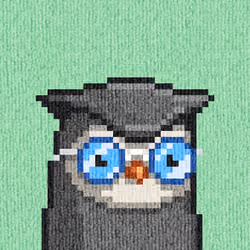 Rug Bird #5785
