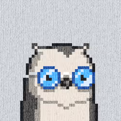 Rug Bird #789