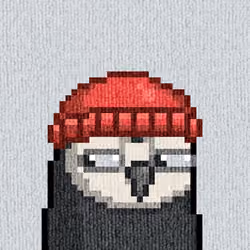 Rug Bird #856
