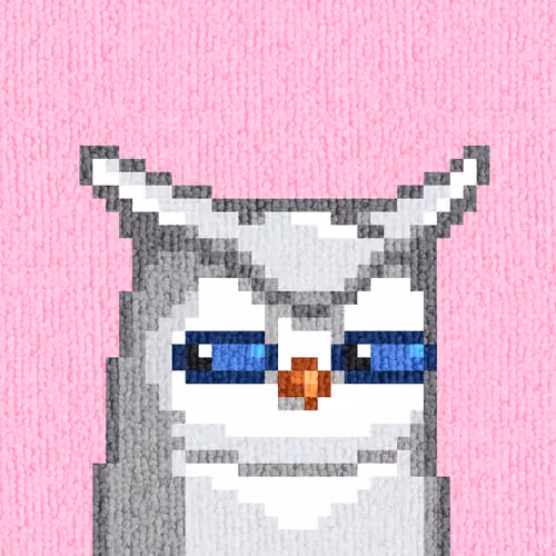 Rug Bird #7780