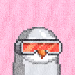 Rug Bird #1568