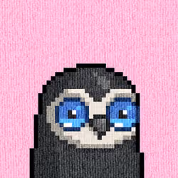 Rug Bird #339
