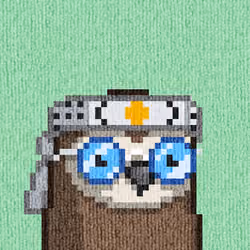 Rug Bird #556