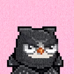 Rug Bird #484