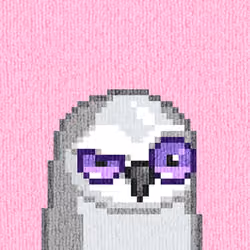 Rug Bird #8243