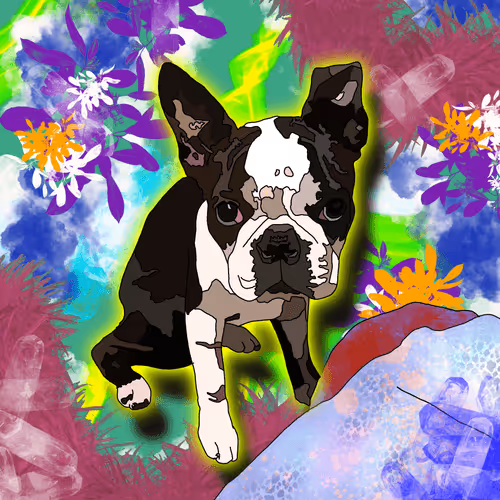 Wilma