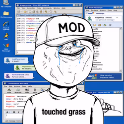 4067