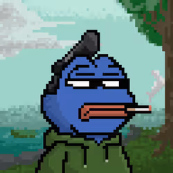 505