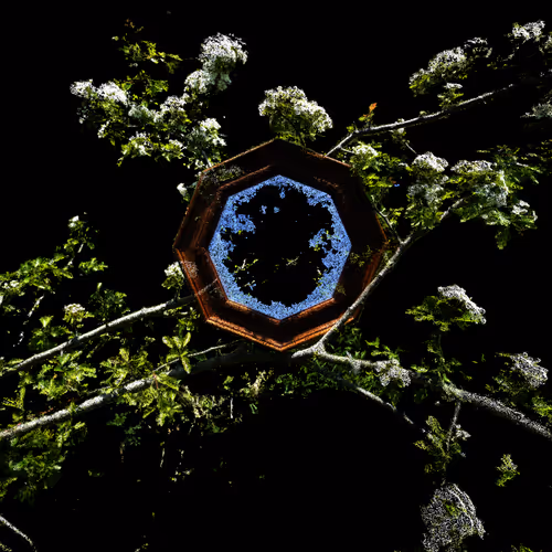 Mirror 404