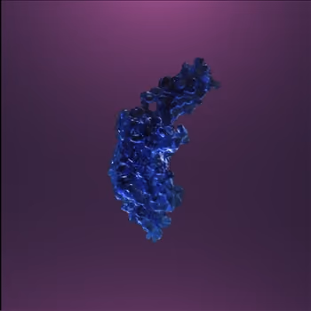 5-hydroxytryptamine 1 receptor