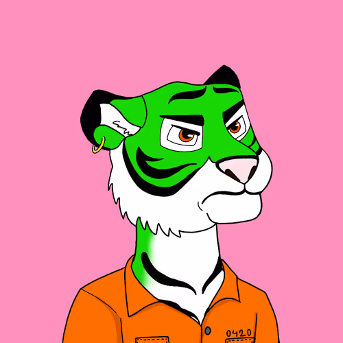 Tigers Fight Club