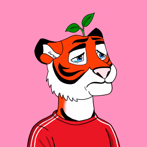 Tigers Fight Club