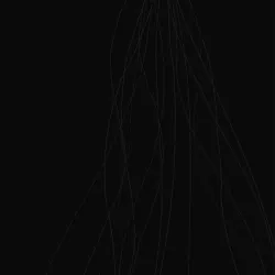 44