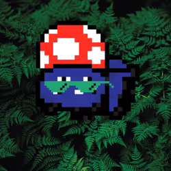 248