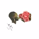 GIRL IS A ROSE