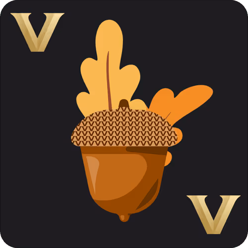 Vanderbilt Collective