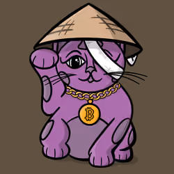 Canny Crypto Cat #2486