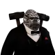 5395