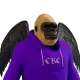 5146