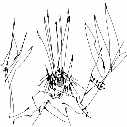 Salvador Sketches
