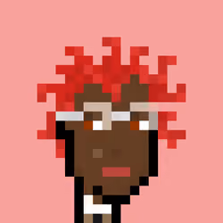 Pleb Punk #1248