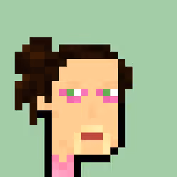 Pleb Punk #465
