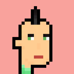 Pleb Punk #411