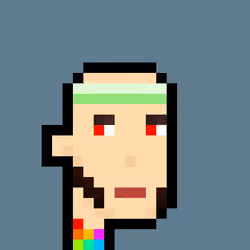Pleb Punk #2308