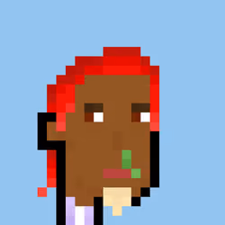Pleb Punk #942