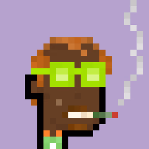 Pleb Punk #1376