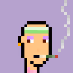 Pleb Punk #255