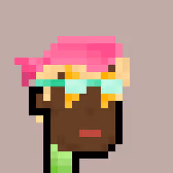 Pleb Punk #1247