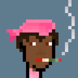 Pleb Punk #1118