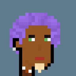 Pleb Punk #1257