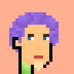 Pleb Punk #1599