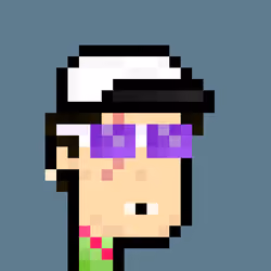 Pleb Punk #793