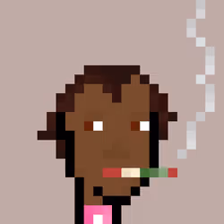 Pleb Punk #965