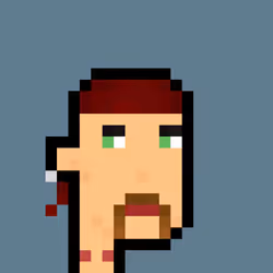 Pleb Punk #1000