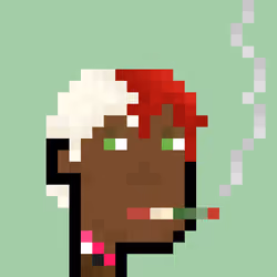 Pleb Punk #2416