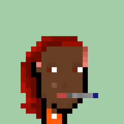 Pleb Punk #1241