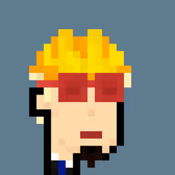 Pleb Punk #761