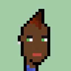 Pleb Punk #782