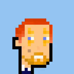 Pleb Punk #6