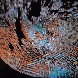 37