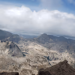 항목 미디어 플레이스홀더