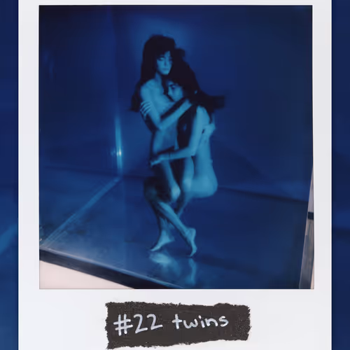 #22 twins