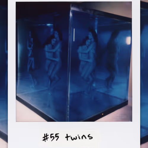 #55 twins