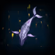 51