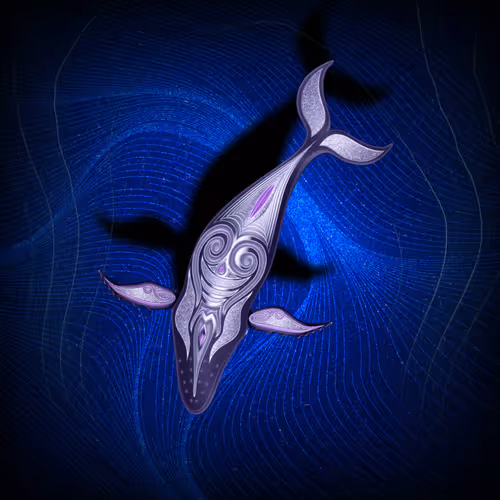 Basedvc Whale Pass