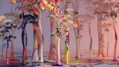 Item #55900020010 Media